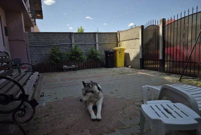 Vand duplex in Via carmina. - 2