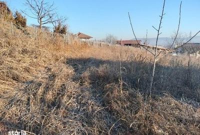 Spațiu comercial, în Cetate - 3