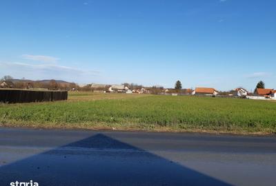 Teren de 2325 mp, în Prejmer - 4