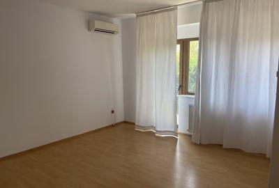 Vila individuala 7 camere de vanzare/inchiriere Iancu Nicolae - 10