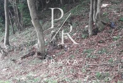 Teren Construcții extravilan de 10000 mp, în Măguri-Răcătău - 2