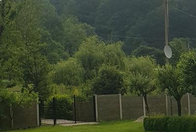 Casă în Cerbăl - 8