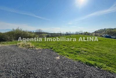 Teren intravilan 6.516 mp in Deva, prelungire str. Vulcan, spre Almas, Jud. Hunedoara. - 12