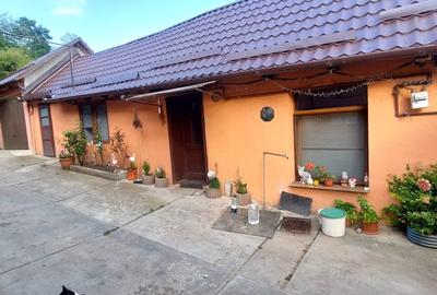 Casa 4 cam,suprafata utila 115mp, si teren 694mp,spre vanzare in Ocna Sibiului - 11