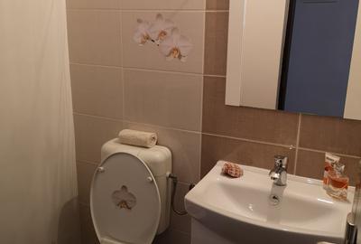 Apartament cu 3 camere decomandat, mobilat în Răcădău - 16