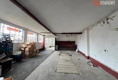 Casa individuala cu 3 camere si teren de 952 mp, zona Crisan - 3