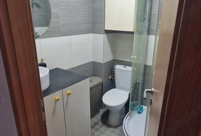 Garsonieră decomandată în Frumoasa - 4