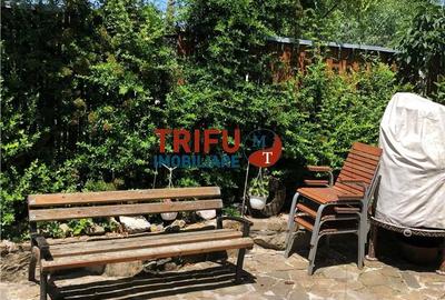 Casă cu 4 camere cu Teren 3000 Mp în Cricău - 15