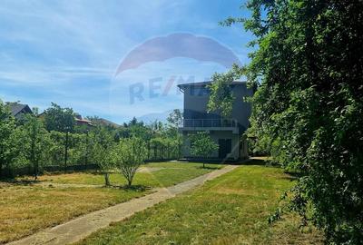 Casă individuală cu 5 camere cu Teren 2436 Mp în Alexandriei - 3