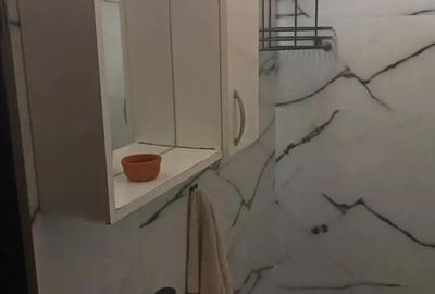 Inchiriez garsoniera in Zona Dacia, suprafata utila de 12 mp, parter. - 6