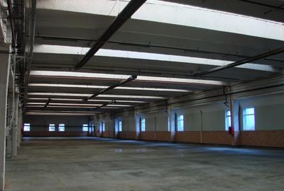 Hala 4850 mp, 2000000 euro - 4