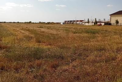 Teren Construcții intravilan de 13000 mp, în Tunari