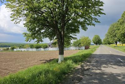 Spațiu comercial, în Mitocu Dragomirnei - 4