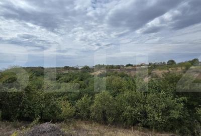 Teren Construcții intravilan de 579 mp, în Exterior Est - 1