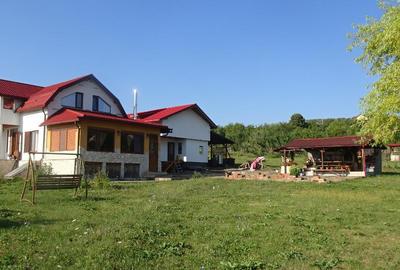 Proprietate Deva,Vulcan, 1600 mp, 7660 mp, sau 1265 mp VARIANTE - 1