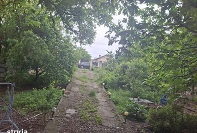 Casă cu 10 camere cu Teren 1200 Mp în Bucov - 12