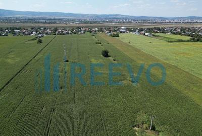 Teren de vanzare, Letea Veche, Jud. Bacau - 1