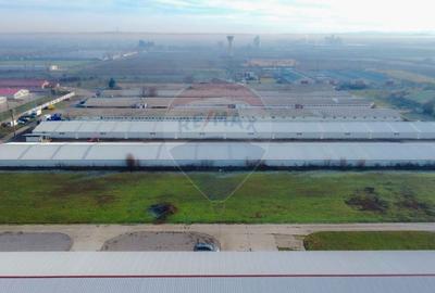 De vânzare – 2 hale industriale, 5.050 mp utili, Palota - 3