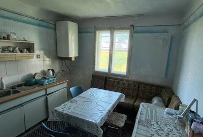 De vanzare casa in Semlac - 8