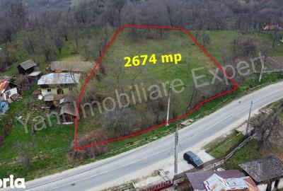 Teren de 2674 mp, în Cepari - 10