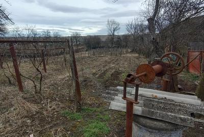 Casă cu 3 camere cu Teren 2394 Mp în Fărcășești - 4