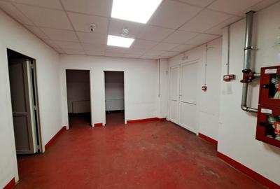 Spatiu ideal Cash&Carry Afumati - 16