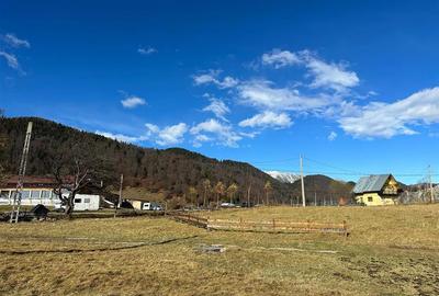 TEREN INTRAVILAN SIRNEA/ 4000 MP/ - 3