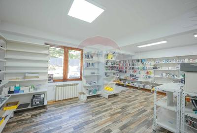 Apartament cu spatiu comercial, diverse destinatii, vanzare, Rogerius - 9