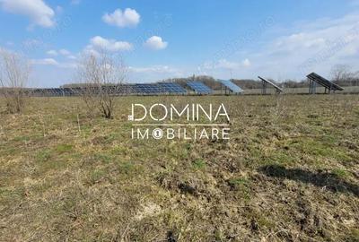 Teren de 978 mp, în Drăguțești - 5