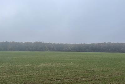 Teren Construcții intravilan de 9400 mp, în Tunari - 8