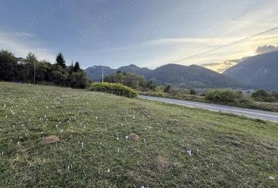 Teren intravilan 500 sau 1000 mp Bran-Tohanita la dum asfaltat - 3