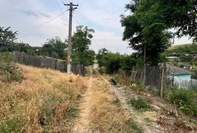 Teren de 855 mp, în Perieni - 7