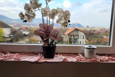 Apartament cu 3 camere decomandat în Pietroasa - 5