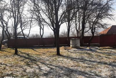 Spațiu comercial, în Rediu - 5