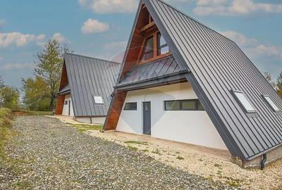 Casă cu 3 camere cu Teren 1205 Mp în Tohănița - 1