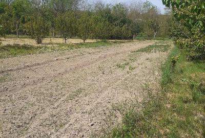 Casă cu 2 camere cu Teren 2489 Mp în Visag - 8