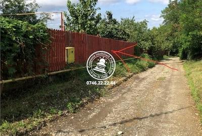 Teren pentru constructii case de vanzare Iasi, Paun - 2