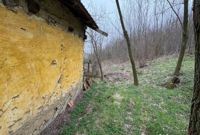 Teren de 2038 mp, în Ghercești - 6