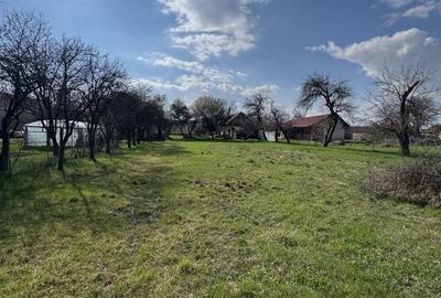 Casă cu 2 camere cu Teren 1702 Mp în Șercaia - 13