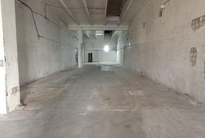 Spatii depozitare /productie Linia de Centura Leordeni-Glina - 13