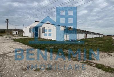 60.000mp Ferma de bovine, pasari, porcine, culturi agricole Diverse - 2