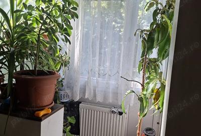 Apartament de vanzare - 10