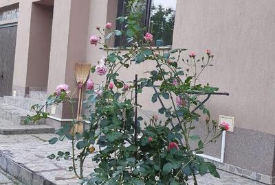 Casă cu 5 camere cu Teren 550 Mp în Central - 10