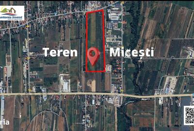 Teren de 2500 mp, în Mărăcineni - 8