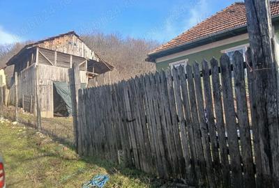 Casă în Blăjani - 8