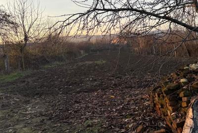 Casă cu 4 camere în Cuza Vodă - 6
