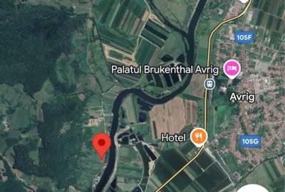Spațiu comercial, în Bradu - 2