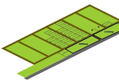 Teren Intravilan Letca Noua DN61 deschidere 235m - 1
