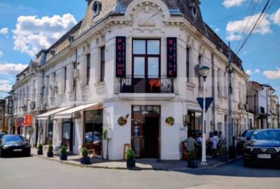 Casă cu 7 camere cu Teren 522 Mp în George Enescu - 1