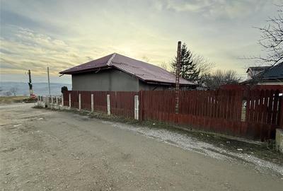 Secuieni - 17 km de Bacau - spatiu comercial - 4
